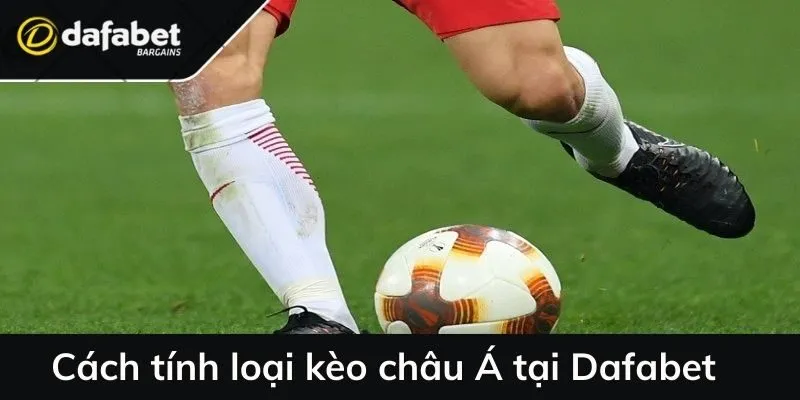Cách tính loại kèo châu Á tại Dafabet