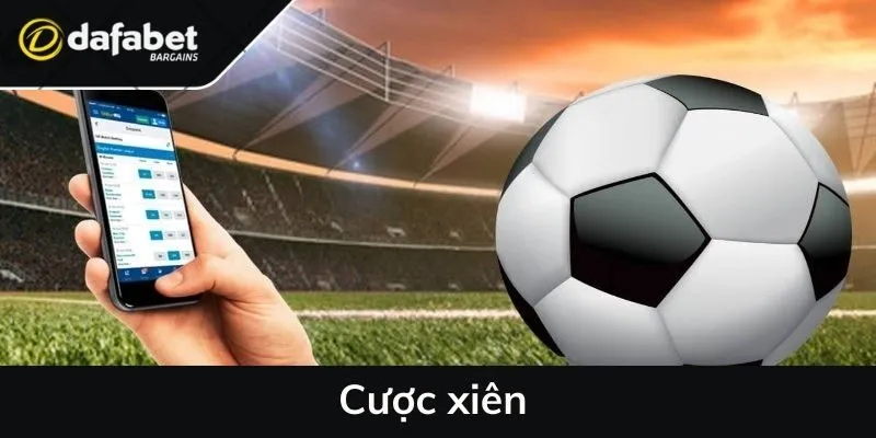 Cược xiên tại Dafabet - Kinh nghiệm dành cho người mới