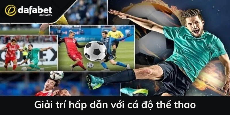 Giải trí hấp dẫn tại trang web trực tuyến với cá độ thể thao